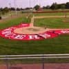 Sporturf Home Plate Halos 10' Home Plate Halo With Wings