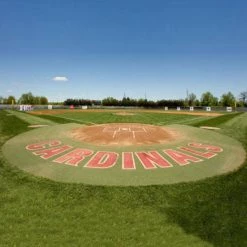 Sporturf Home Plate Halos 10' Home Plate Halo With Shock Pad