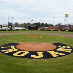 Sporturf Home Plate Halos 10' Home Plate Halo With Shock Pad