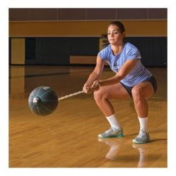 Porter PowerMax Swing Balls