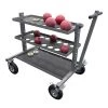 Gared Gill Athletics International Implement Carts Discus