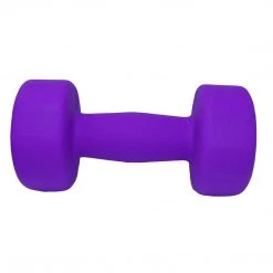 Aleko Non-Slip Hexagonal Shaped Free Weight Dumbbells - 12 Lbs - Purple - Set Of 2