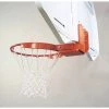 Basketball Hoops Bison Inc. Flex-Court Rear Mount Flex Basketball Goal