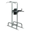 Athletic Connection Gym Equipment Chin/Dip/Ab Station