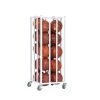 Champion Sports 20 Ball Deluxe Vertical Basketball Cage Ball Storage Cages And Carts 2 Champion Sports 20 Ball Deluxe Vertical Basketball Cage Ball Storage Cages And Carts