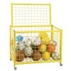 Ball Storage Cages And Carts Champion Sports Full Size Lockable Ball Storage Locker
