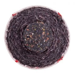 Champion Sports OLB5 Official League Baseball Starting Pistol Accessories