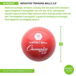 Champion Sports Red Weighted Training Balls Set Of 6
