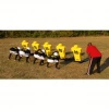 Fisher Brute 2 Football Youth Blocking Sled - 7 Man