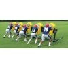 Fisher 5 Man Bull Football Blocking Sled