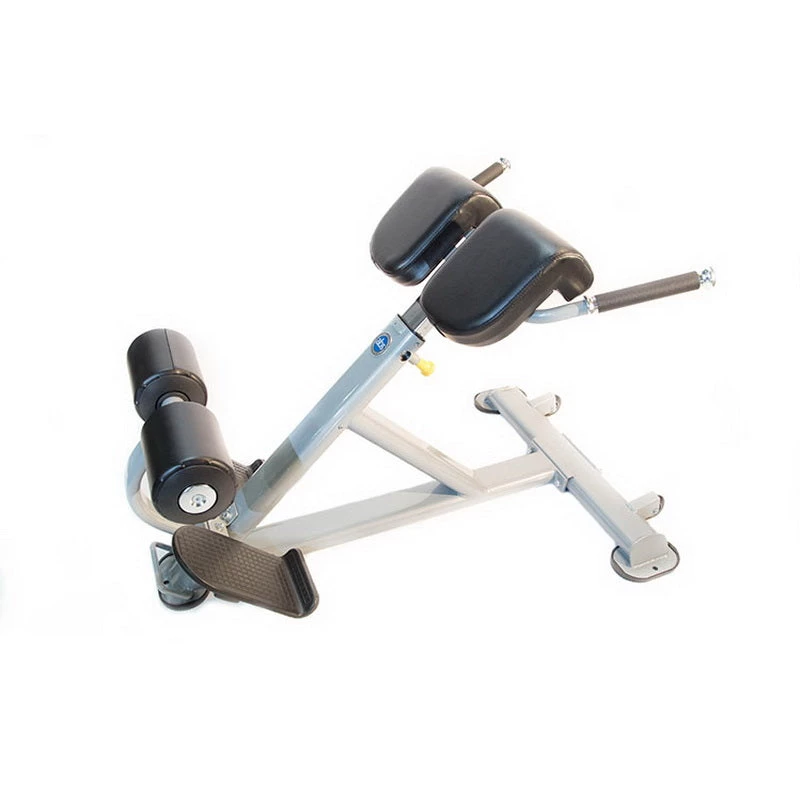 Gym Equipment The ABS Company Lumbar X 1 Gym Equipment The ABS Company Lumbar X