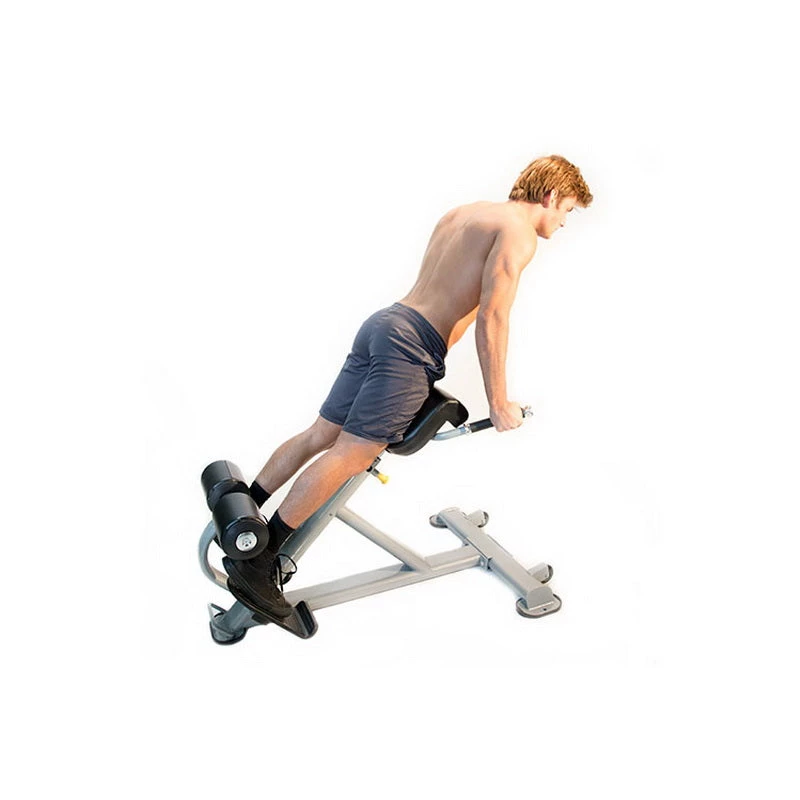 Gym Equipment The ABS Company Lumbar X 3 Gym Equipment The ABS Company Lumbar X