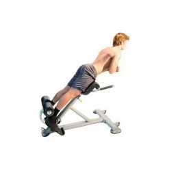 Gym Equipment The ABS Company Lumbar X 10 Gym Equipment The ABS Company Lumbar X