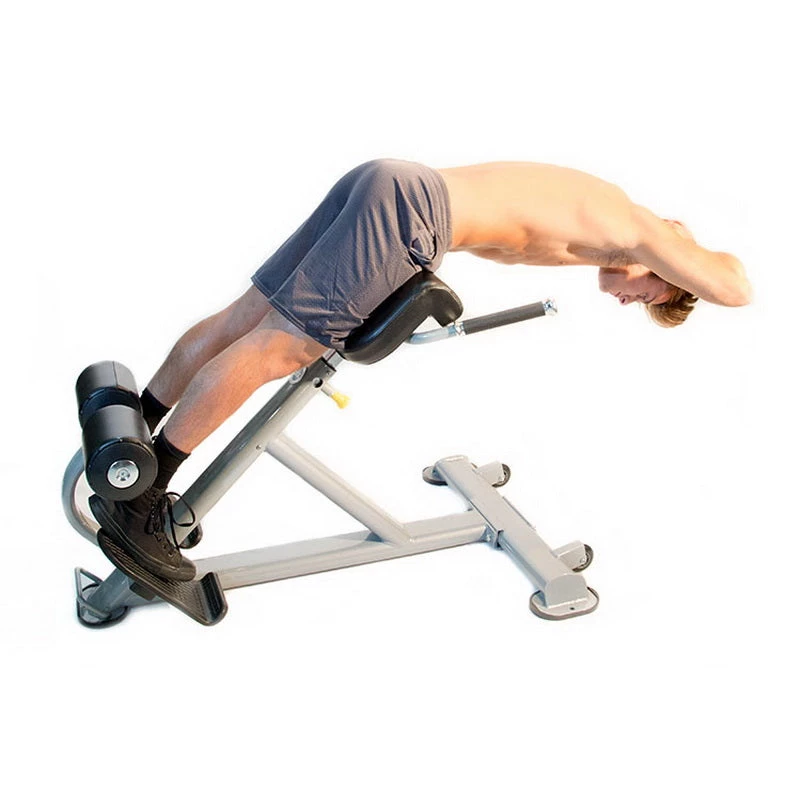 Gym Equipment The ABS Company Lumbar X 5 Gym Equipment The ABS Company Lumbar X