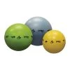 Athletic Connection Track & Field Smart Stability Balls