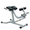 Athletic Connection Starting Pistol Accessories Champion Barbell® Back/Abdominal Exercise Bench